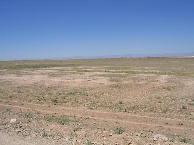 View to the point from north