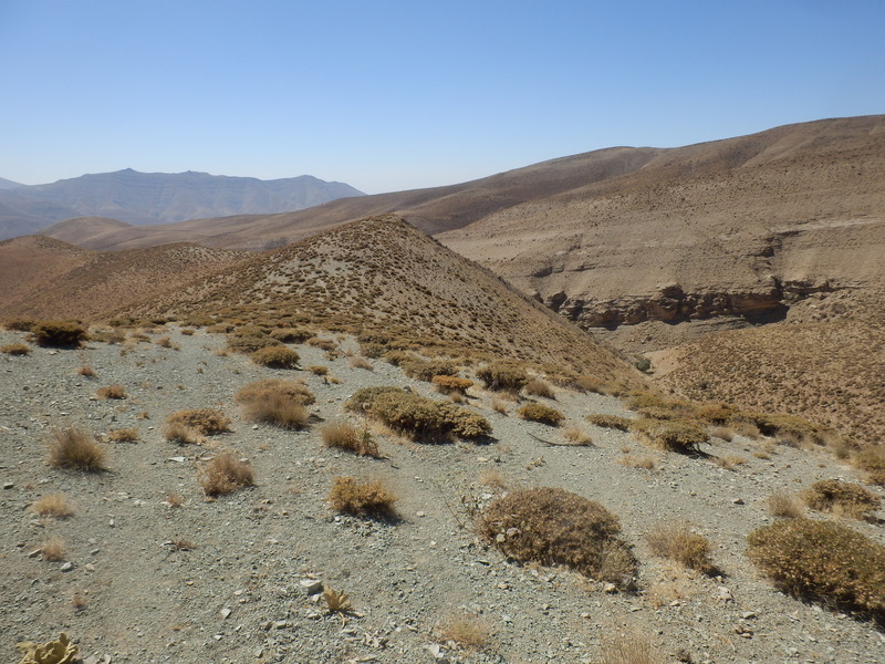 The Confluence from 15 m