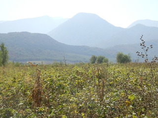 #1: The Confluence from 15 m distance