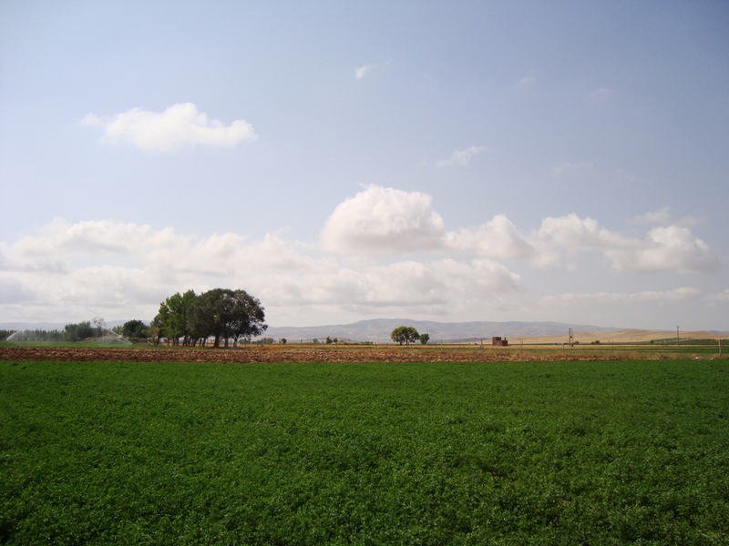 View to the South