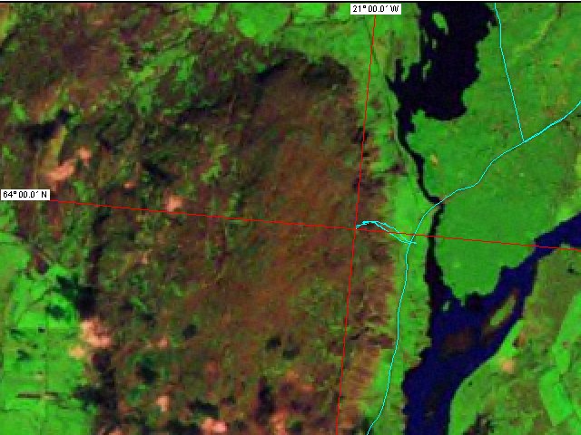 Satellite image with track log