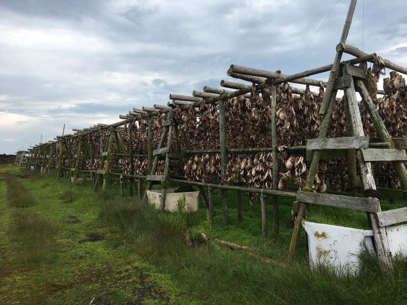 Drying fish at the roadside (4 km distance)