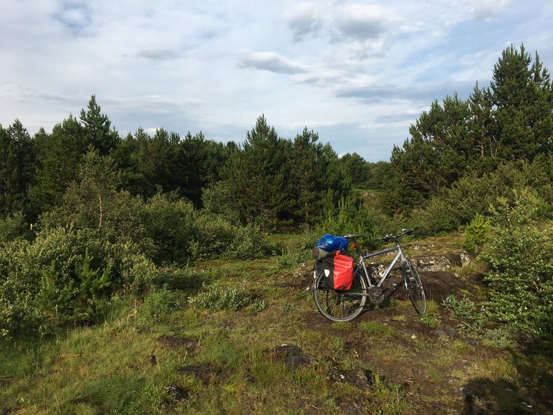 Bicycle parking in a forest