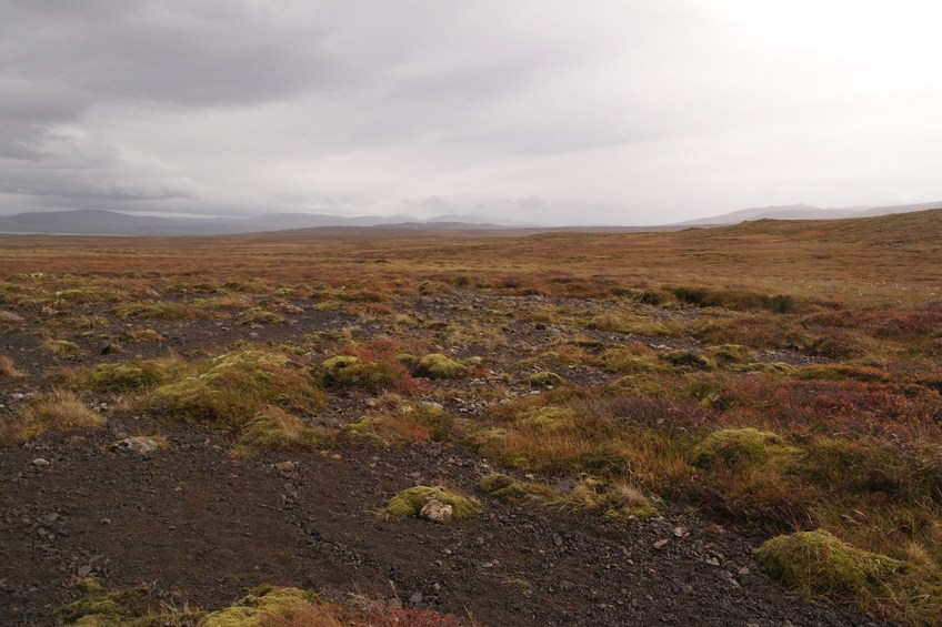 Looking east from the confluence.