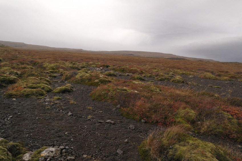 Looking west from the confluence.