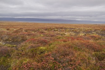 #1: Looking north from the confluence. The fjord is visible in the distance. 