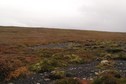 #3: Looking south from the confluence.