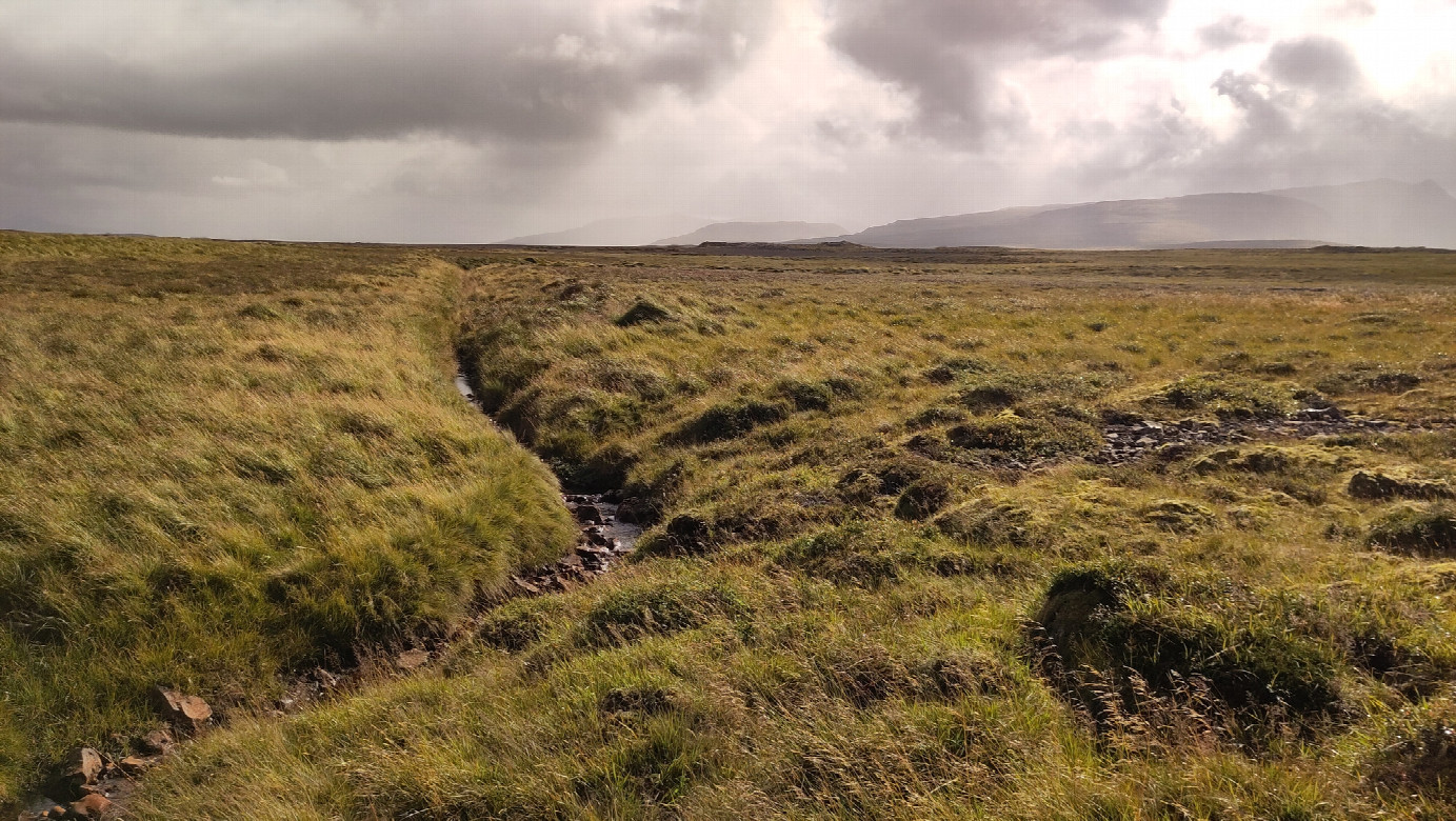 typical ditch close to the location