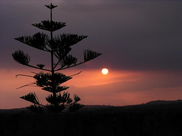 The sunset seen from a church tower in Noto