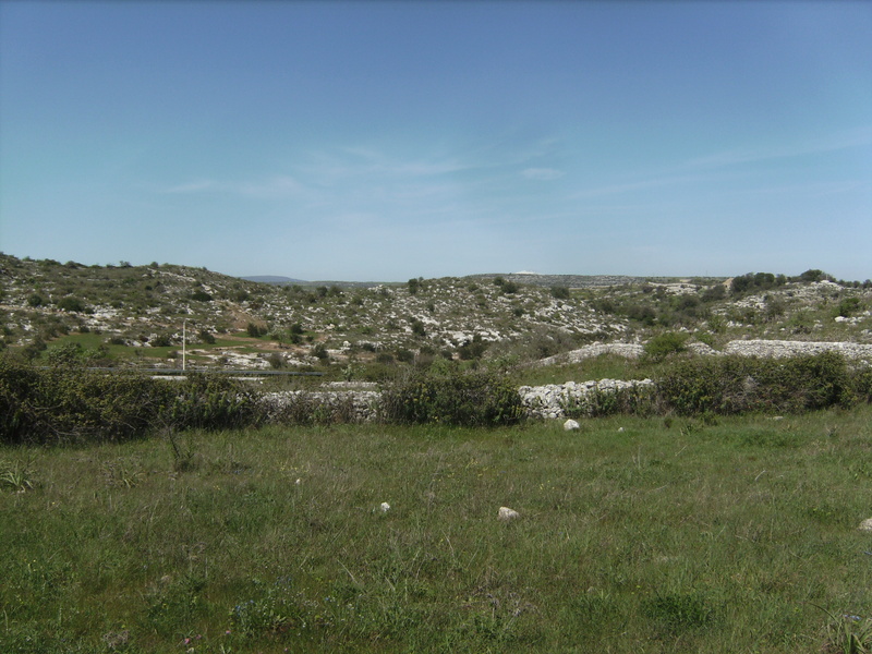 Blick nach Norden - View north