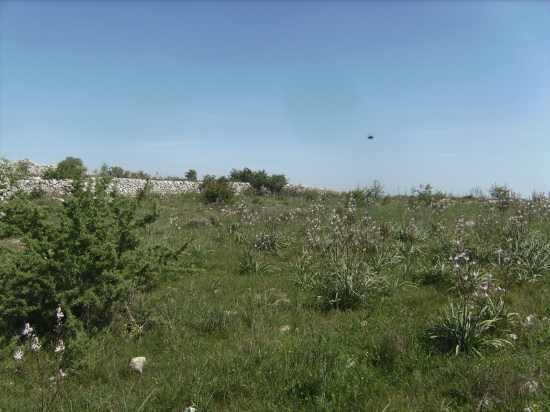 Blick nach Osten - View east