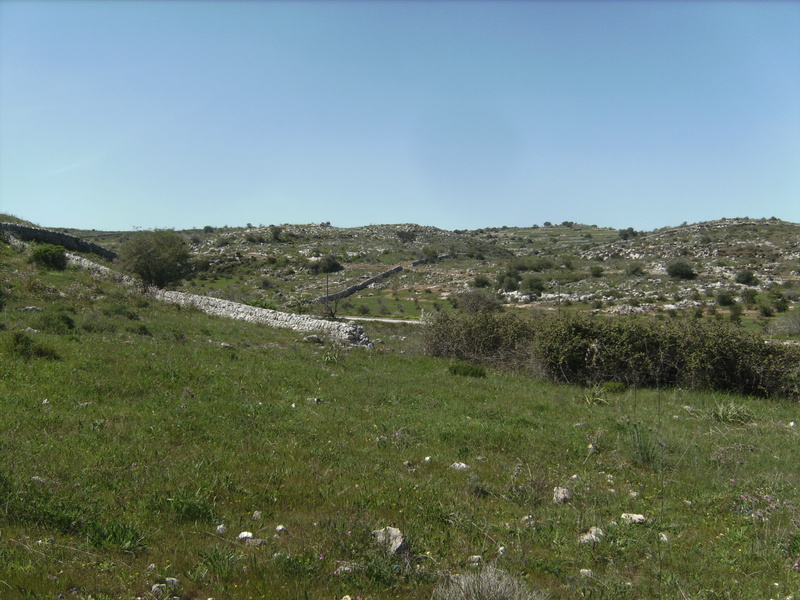 Blick nach Westen - View west