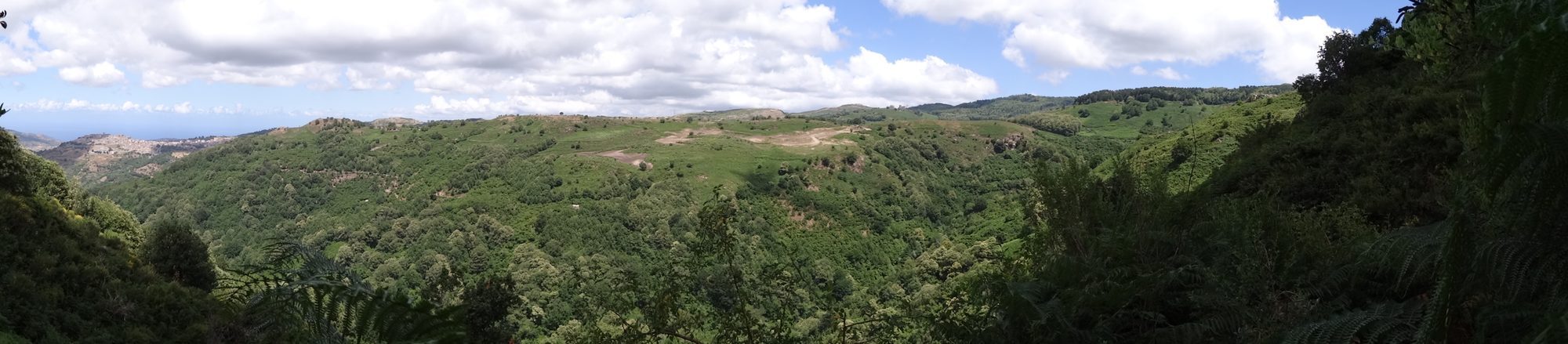 View to Montalbano on the left out of the valley