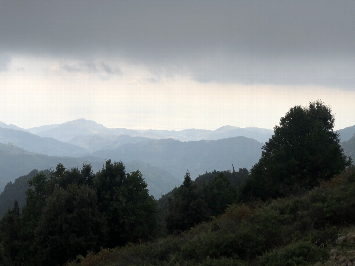 View to the Confluence from 200 m Distance