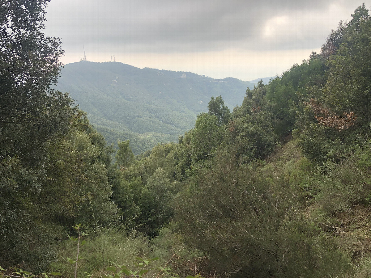 The Confluence from 70 m Distance