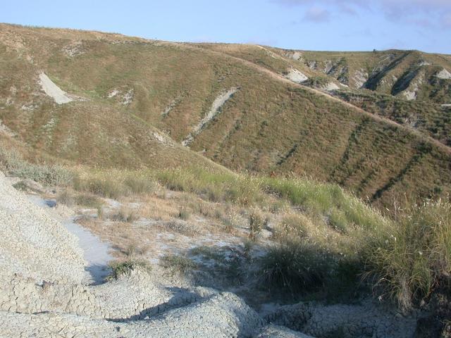 General view of the confluence, looking south-east.