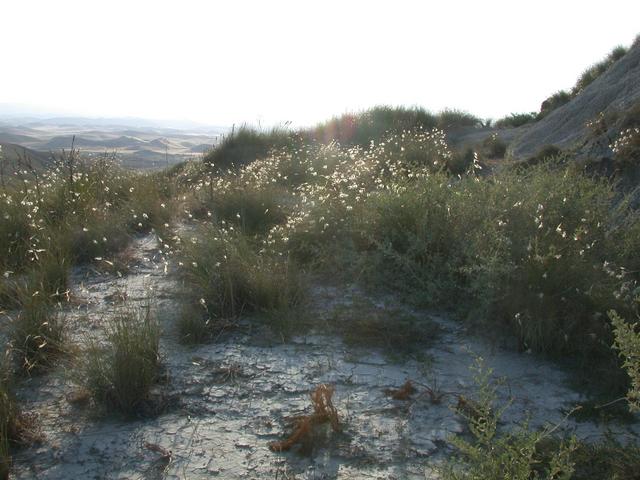 Looking west, into the sun. You can see the wide valley with some "dunes" below.