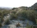 #5: Looking west, into the sun. You can see the wide valley with some "dunes" below.