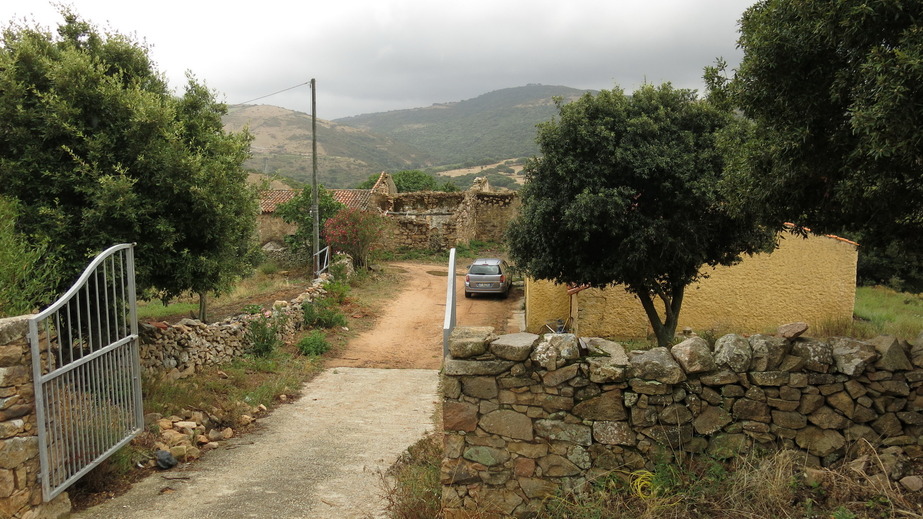 Farm near parking place