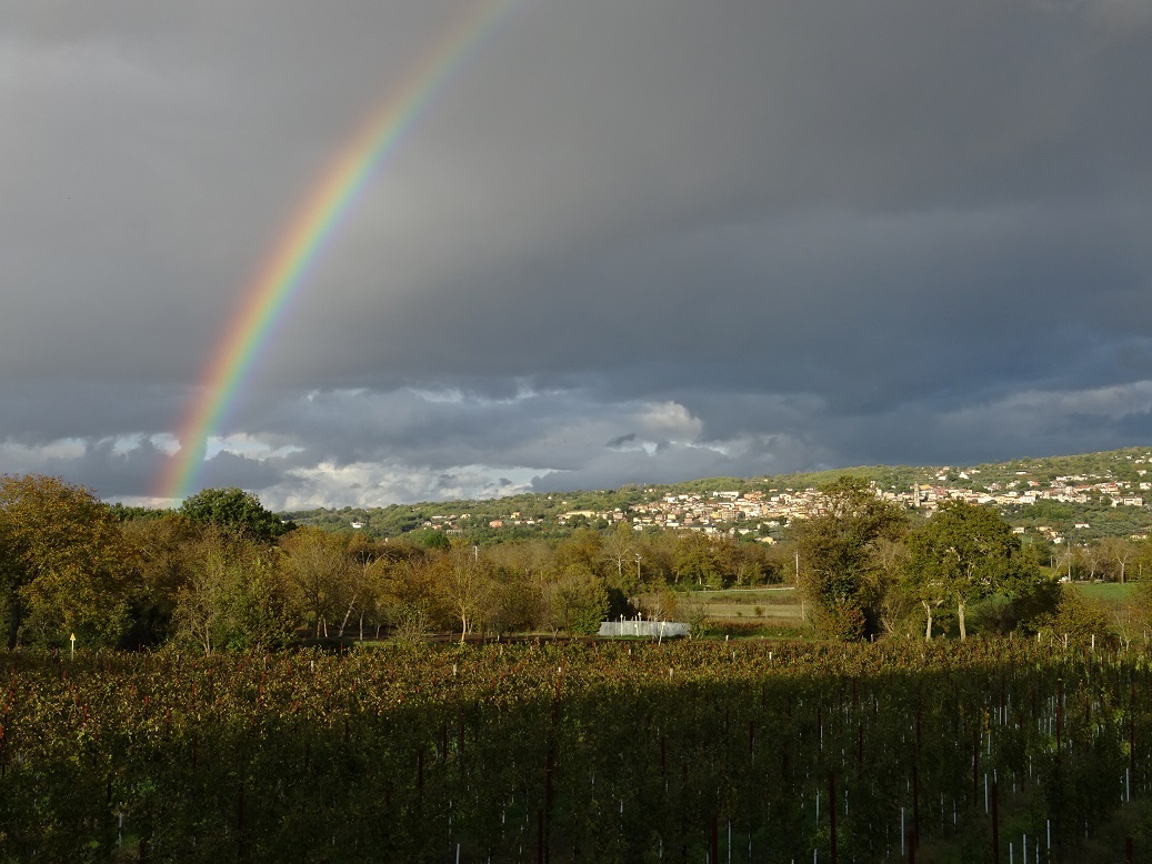 November Rainbow