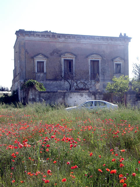 Romantic house opposite the confluence