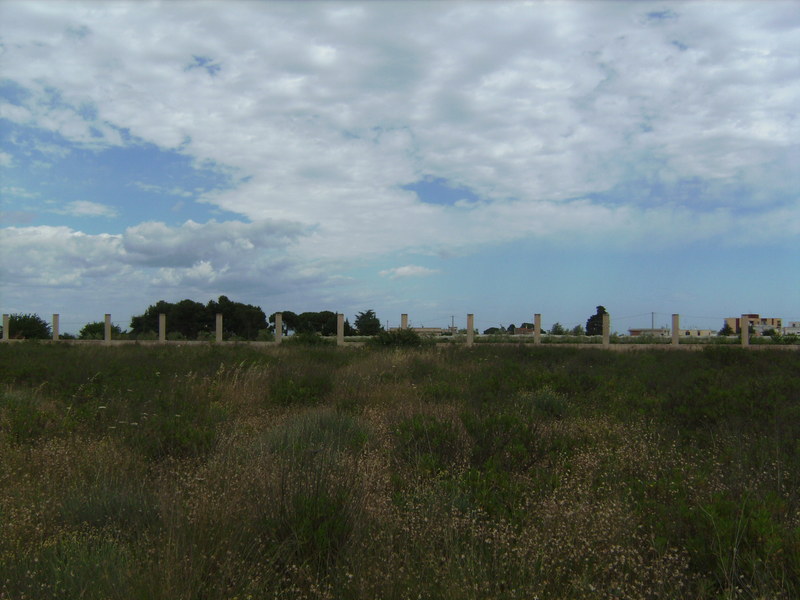 Blick nach Norden - View north