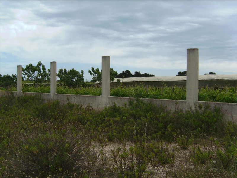 Blick nach Osten - View east