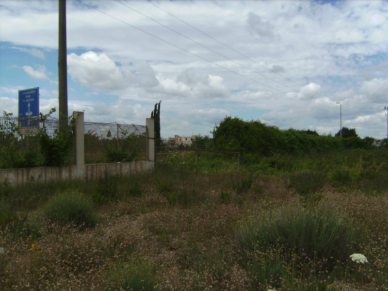 Blick nach Westen - View west