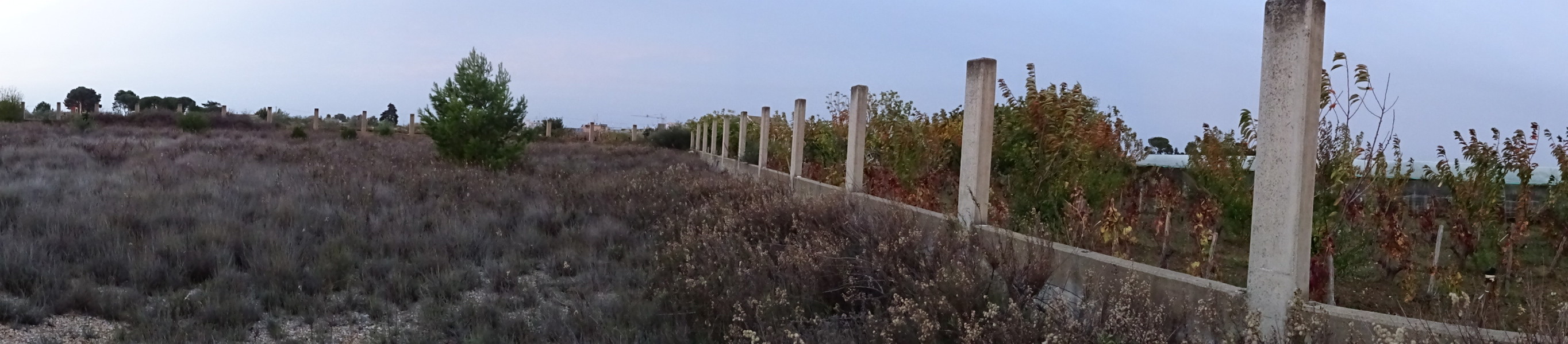 WNE panoramic view from the point