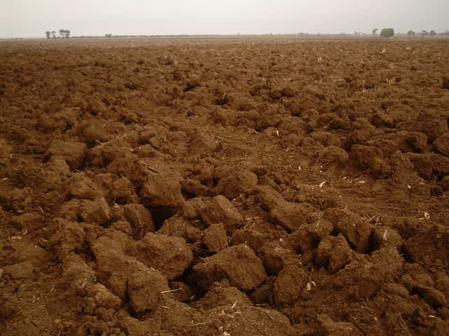 Neighboring plowed field