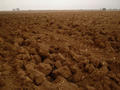 #7: Neighboring plowed field