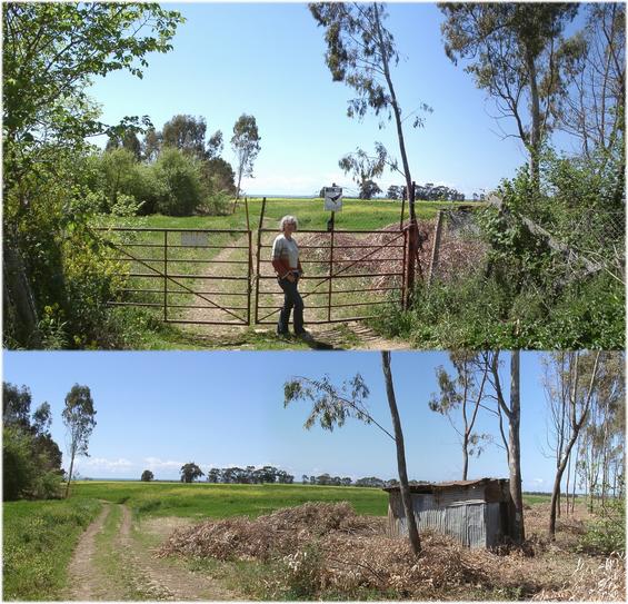 Locked gate & view from eastern corner of rape field