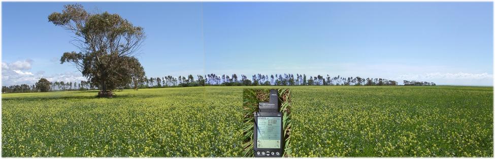 View from SOUTH (military base) with reference tree & GPS