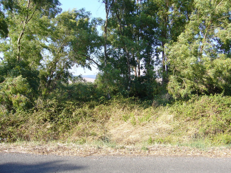 View north towards the highway.