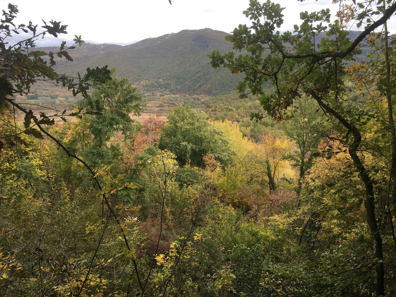 The Confluence from 10 m distance