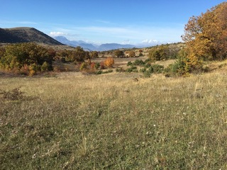 #1: The Confluence from 15 m distance