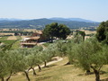 #9: The Wine Resort Conti di San Bonifacio