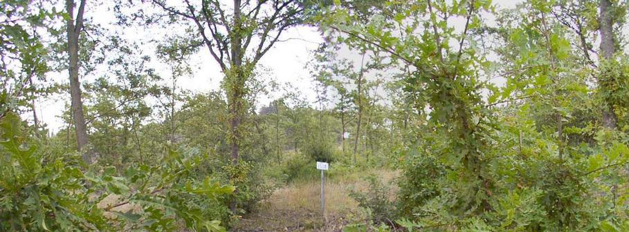 Panoramic shot of the confluence point