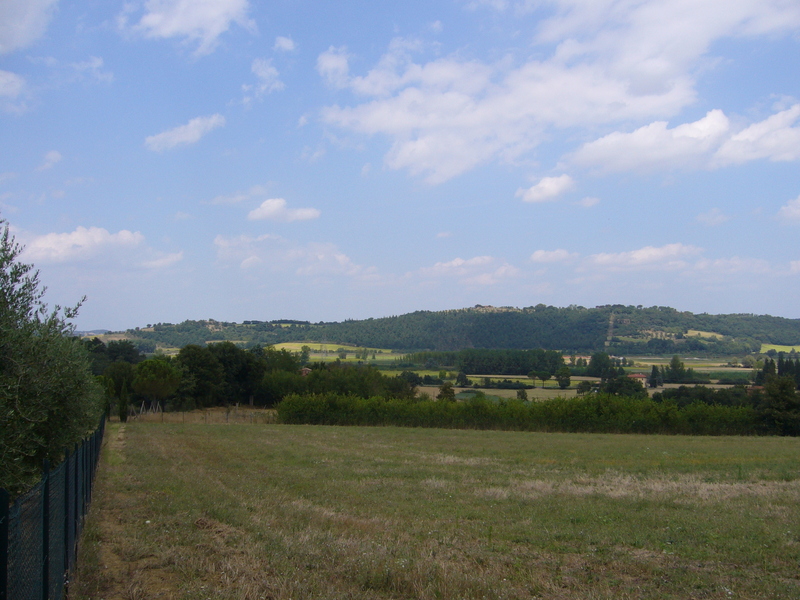 View north; note the long fence, which prevented a closer approach.