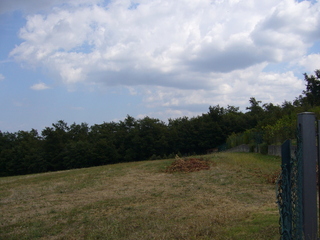 #1: View east towards the Point in the woods. Note the fence!