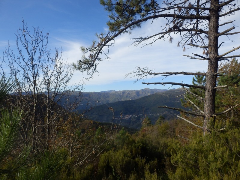 The Confluence from 20 m distance