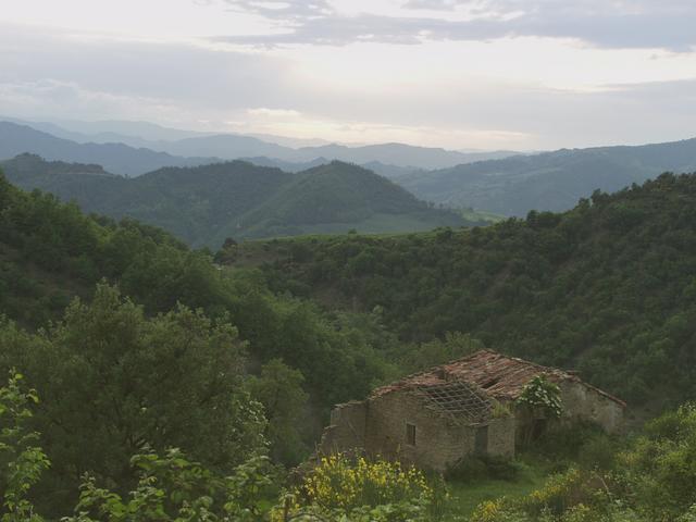 Panoramic view