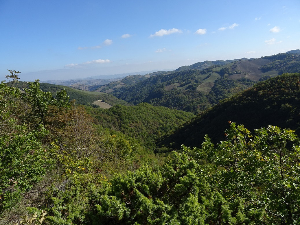 Area overlook