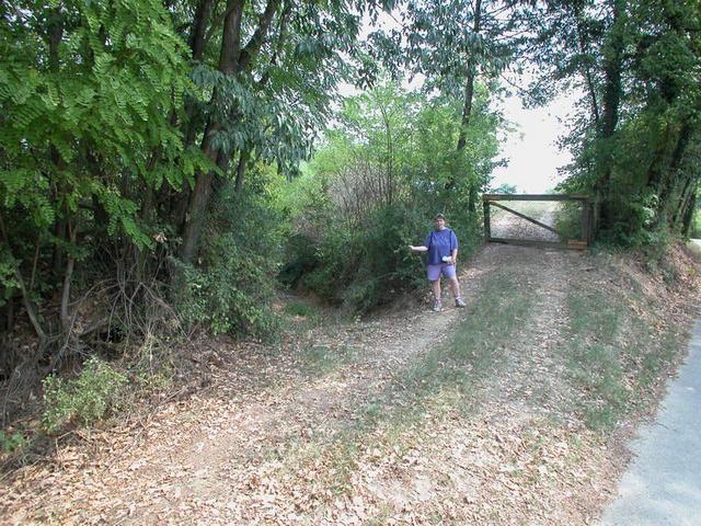 The entrance to the forrest / Der Eingang zum Waldgebiet