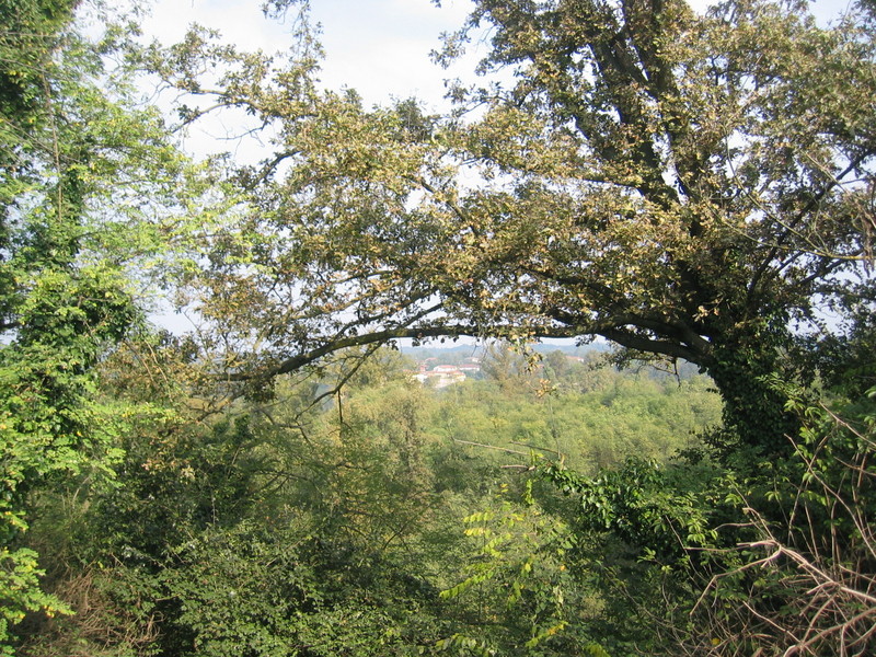 Confluence Point from the Top at a Distance of 250 m