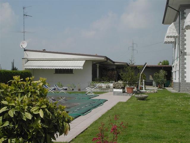 the pool