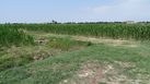 #10: Start of walk at a water ditch