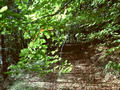 #6: Abandoned Paths...