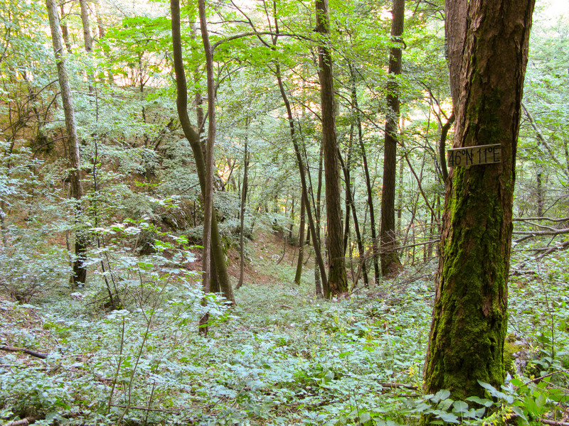 Looking at the Confluence Point (facing North)