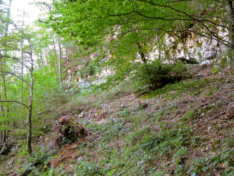 From the Confluence Point looking East